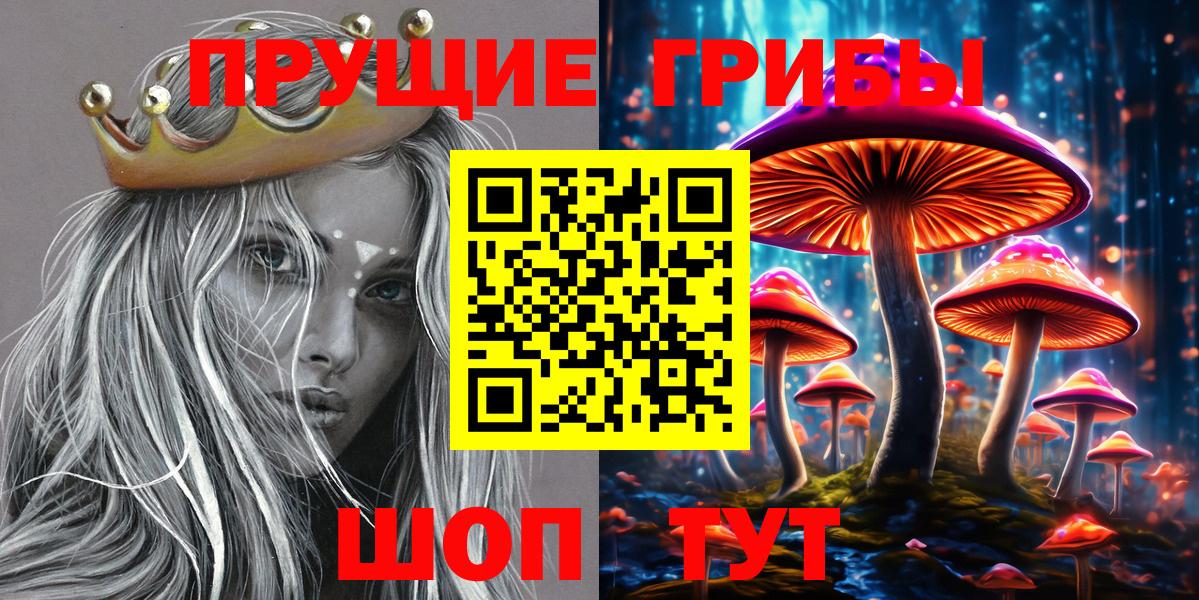 Галлюциногенные грибы Cubensis  Галлюциногенные грибы мухоморы  где купить наркотик  Ачхой-Мартан  Вход с VPN 